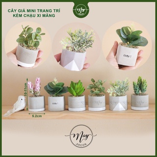 Chậu Cây Mini Giá Tốt Tháng 9, 2023 Trang Trí Nhà Cửa | Mua Ngay Nhà Cửa &  Đời Sống | Shopee Việt Nam