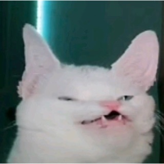 gffdffgggfdfgghh