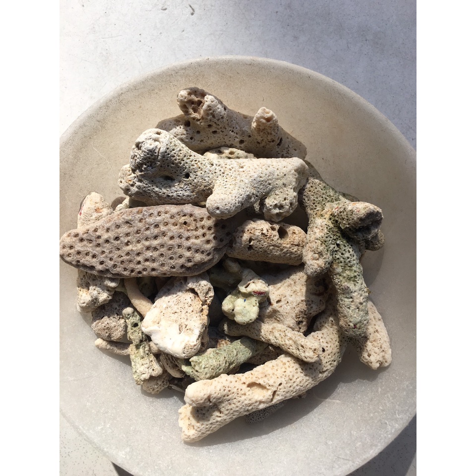 1kg San hô biển lọc nước và trang trí bể cá cảnh ,tiểu cảnh.