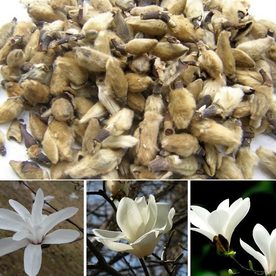 [Mã BMTTC60K giảm đến 60K đơn 50K] Tân di khô thượng hạng JINDO 1kg