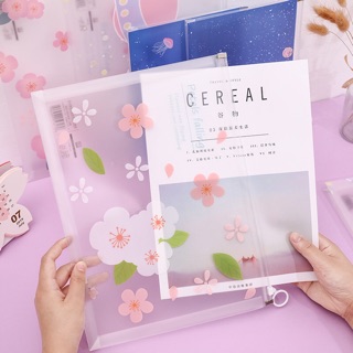 sét 3 túi tài liệu a4