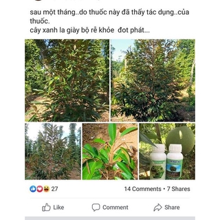 KÍCH THÍCH RA RỄ - EM ROOT SIÊU RA RỄ HLC CHAI 500ML - KÍCH RỄ CỰC MẠNH, KÍCH CHỒI, XANH LÁ