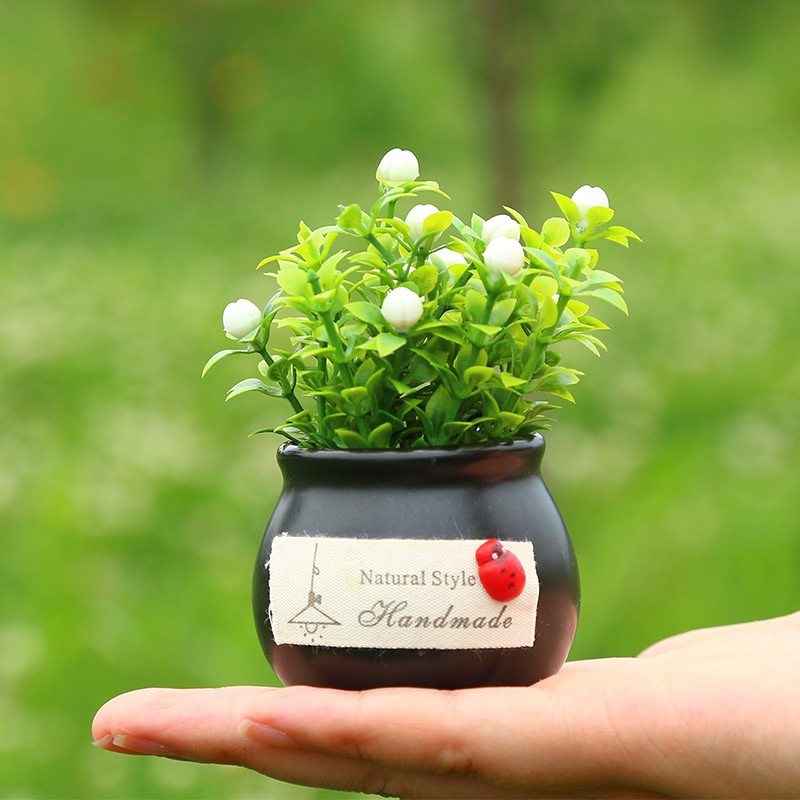Chậu cây trang trí taplo ô tô hàng loại 1 loại đẹp, chậu cây làm bằng sứ có tặng kèm sáp thơm