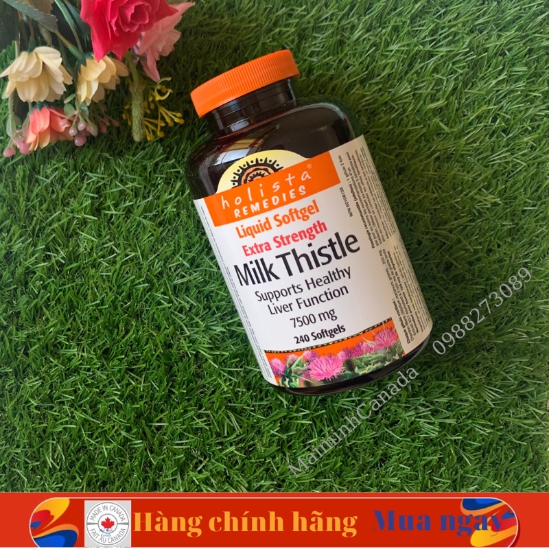 Thuốc milk thistle 7500mg có công dụng gì trong việc hỗ trợ gan?
