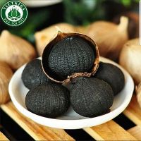 nguyenyennhi244