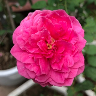 dieuanh12102019