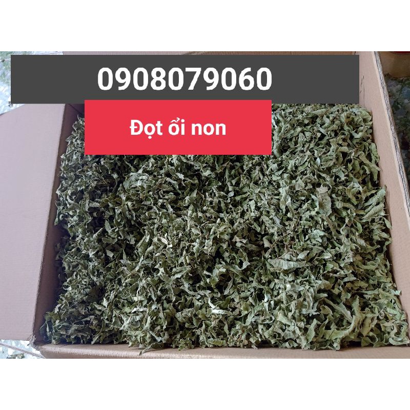 500gr Trà đọt ổi- lá ổi non thái nhỏ đã rửa sạch