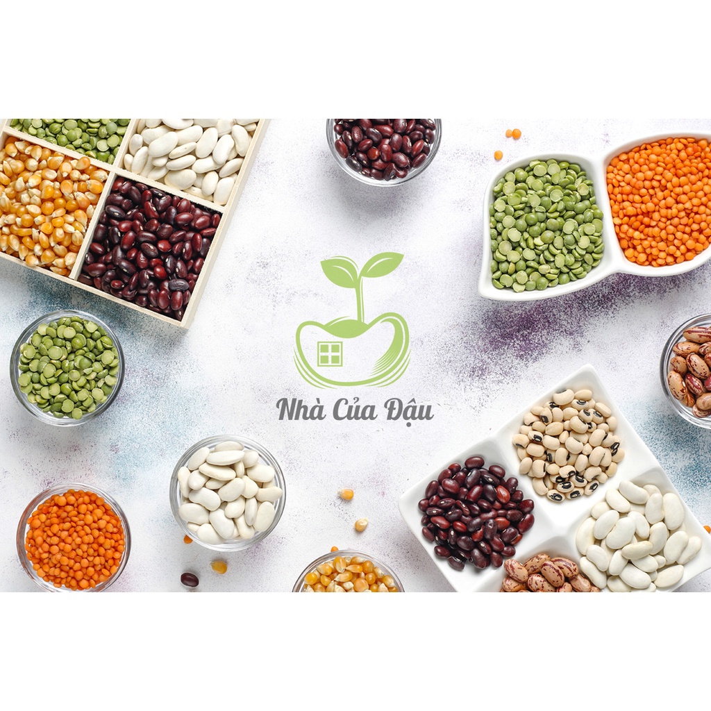 Bột Ngũ Cốc Đậu Dinh Dưỡng 1kg – Protein Thực Vật Cho Gym, Yoga, Ăn Kiêng Healthy