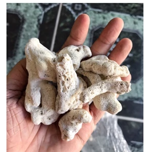 ĐÁ SAN HÔ TRANG TRÍ HỒ CÁ NON BỘ 800g