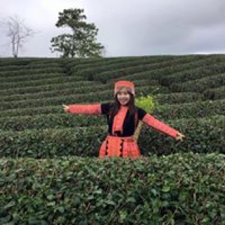 quynhanhnguyen3990