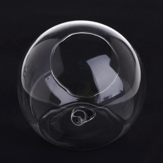 Bình Thủy Tinh HL Treo Tường Thủy Canh Terrarium Bể Cá Chậu Hoa