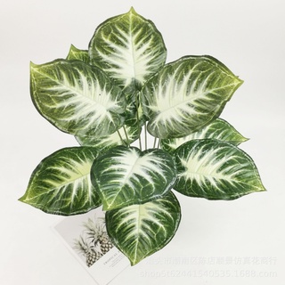 Cây Giả - Cây trầu bà, vạn niên thanh (không kèm chậu) 12 lá cỡ 54 cm trang trí không gian gia đình, văn phòng...