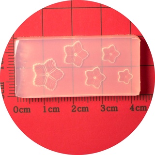 Flgo Nail Art Mold UV Epoxy Resin Keo Khuôn Silicon Khuôn Hoa Ba Chiều