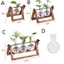 VVDZA Bình Thủy Tinh Trang Trí Terrarium Để Bàn Chậu Hoa