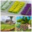 PWSSEND 14 Chiếc Tổ Hoa DIY Micro Phong Cảnh Hướng Dẫn Sử Dụng Chất Liệu Bàn Cát