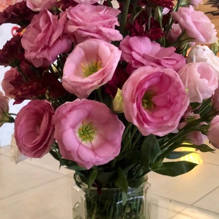 clairenguyen1102