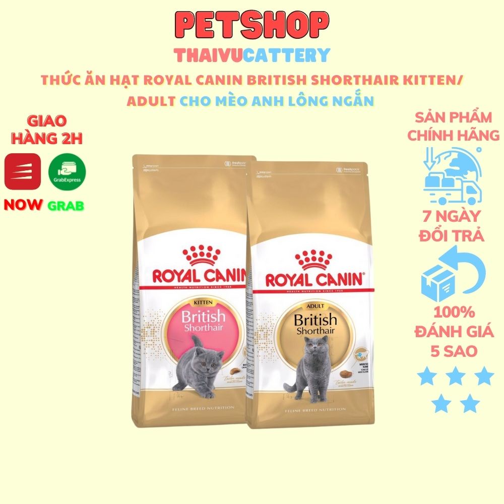 Chó Mèo Royal Canin British Shorthair Kitten 10 Kg Chó Mèo Royal