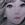 camy_2512