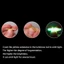 VVDZA 50 Chiếc Light Stick Siêu Sáng Dạ Quang Tẩy Trắng Dạ Quang Cần Câu Cá Cần Dạ Quang Để Câu Cá