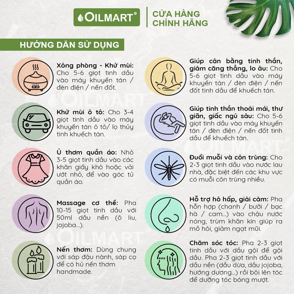 Ảnh Tinh Dầu Xông Thơm Phòng, Khử Mùi, Đuổi Muỗi Oilmart - Thông, Sả Chanh, Quế, Bạch Đàn Chanh, Cam, Oải Hương 15ml 2