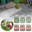 PWSSSEND Búp Bê Cỏ Mô Hình Mutlicolor Cảnh Mô Phỏng Thủ Công Bush Cân Thu Nhỏ Xây Dựng Cỏ Mate