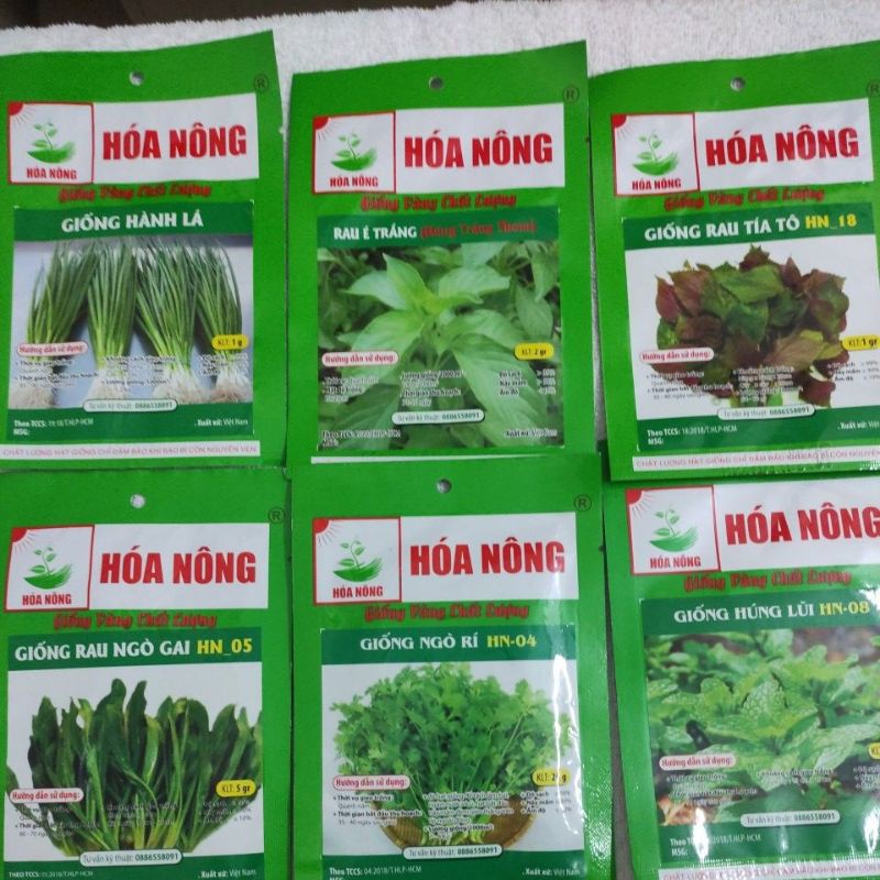 COMBO CÁC LOẠI RAU MÀU, RAU THƠM, HÀNH NGÒ | Shopee Việt Nam
