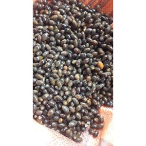 Hạt quế (500g)
