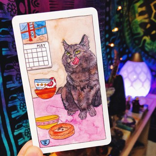 Bộ Bài Cat Tarot (Mystic House Tarot Shop) - Bài Gốc Authentic Chính Hãng 100%