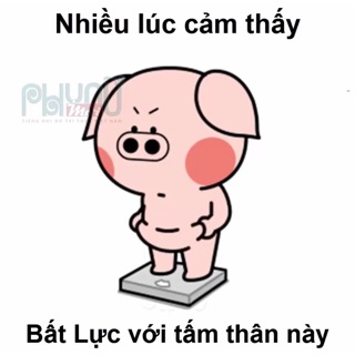maihuynh1991