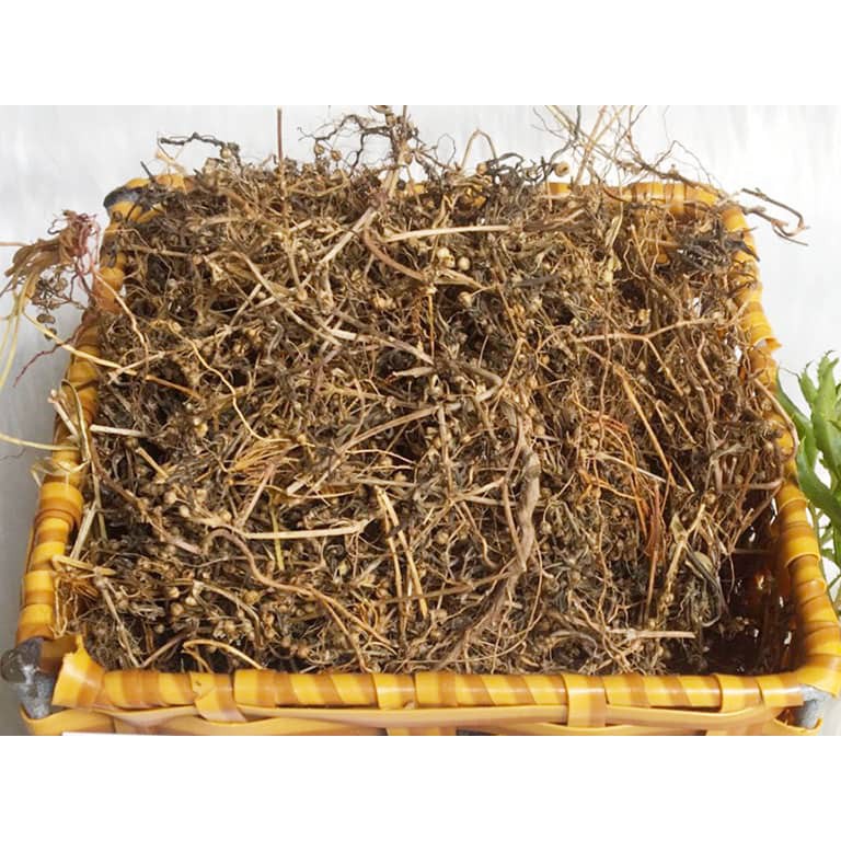 [Mã BMTTC60K giảm đến 60K đơn 50K] Bạch hoa xà thiệt thảo khô JINDO 1kg thảo dược tốt cho sức khỏe