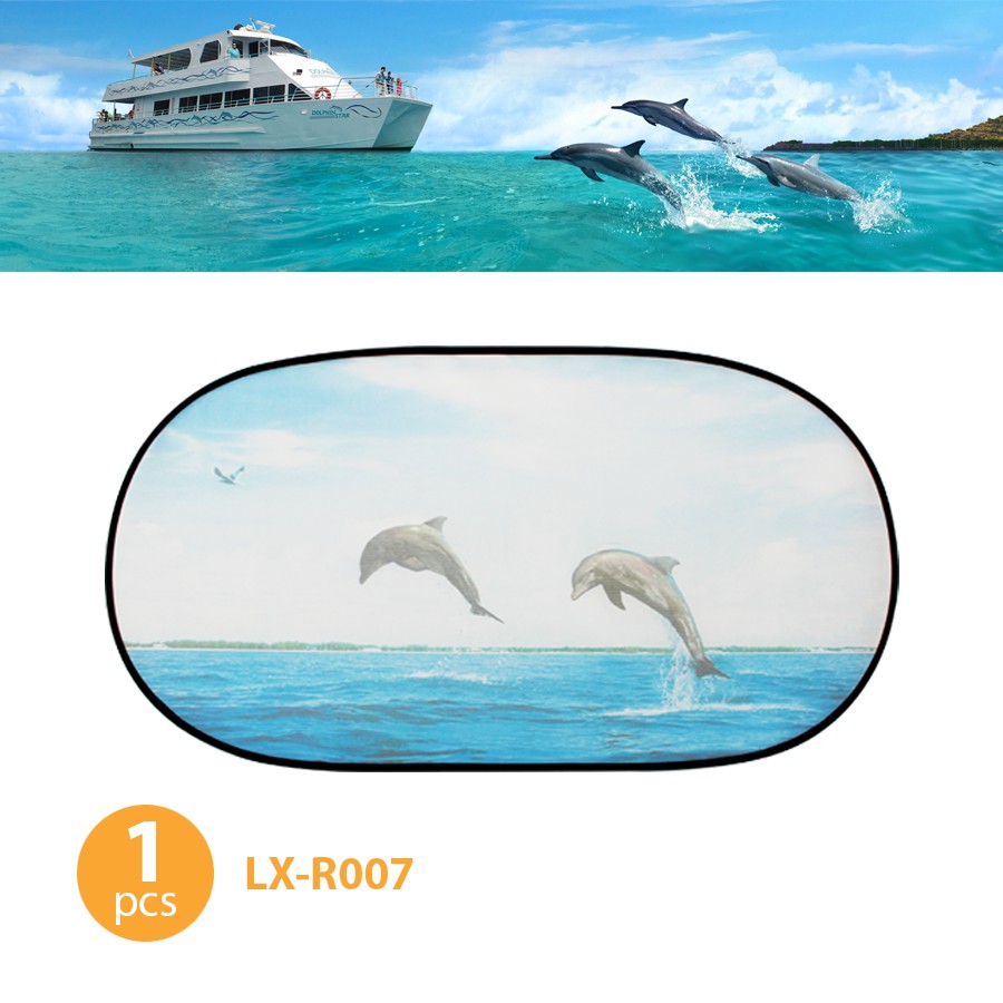 Che Nắng Ô Tô Kính Sau Phù Hợp Với Nhiều Dòng Xe NB Nhiều Hình (50x100cm)