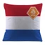 ST2 2022 Qatar World Cup Gối 40cm Quốc Kỳ Đội Đệm Lanh Thể Thao Sự Kiện Quạt Quà Lưu Niệm Tây Ban Nha Quạ Trang Trí Nhà