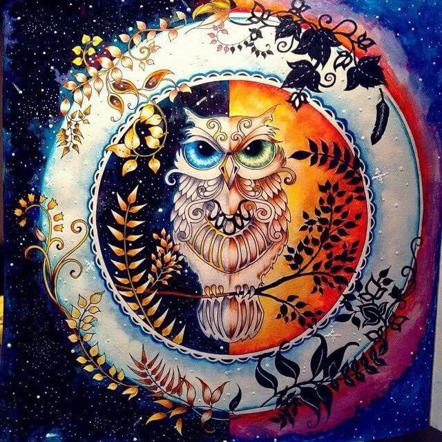 Tranh tô màu cho người lớn 24 trang