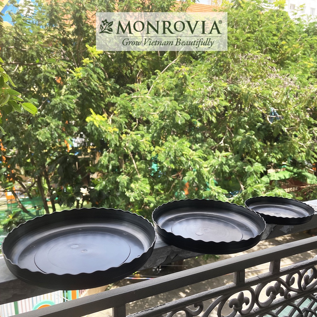 Ảnh Đĩa lót chậu nhựa trồng cây Monrovia chậu trồng cây, chậu cây cảnh mini, để bàn, treo ban công, treo tường, chính hãng 2