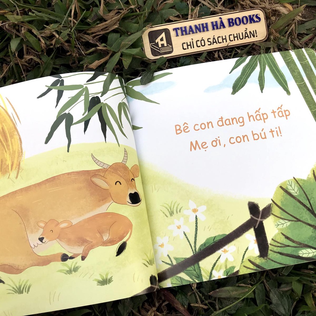 Ảnh Sách - Muôn điều kì diệu - Bộ 2 quyển Tặng kèm Nametag - Dành cho bé 0 - 5 tuổi (Dòng sách đọc to) (Lẻ tùy chọn) 2