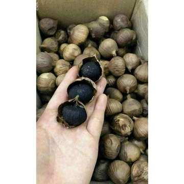 Tỏi Đen Cô Đơn, Mềm Dẻo , Chất Lượng Hàng Loại 1.