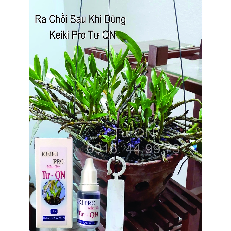 Keiki_Pro Kiều Tím Chính Hãng - Kích Mầm Cho Lan - Hiệu Quả (15ml)