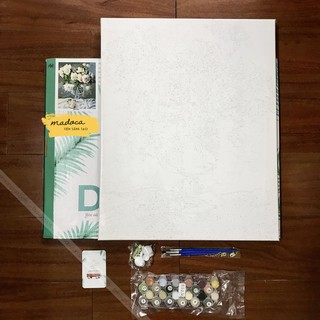 Tranh tô màu 40x50cm có khung Hoa hồng vàng nhạt T168