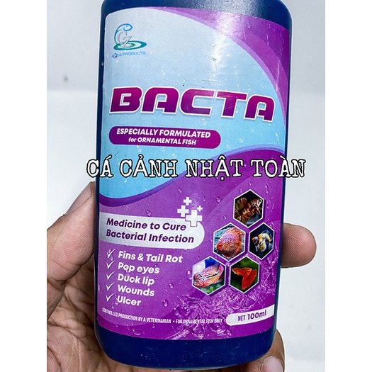 BACTA CZ8 dùng NẤM CHO TẤT CẢ LOẠI CÁ THÁI LAN 100ML