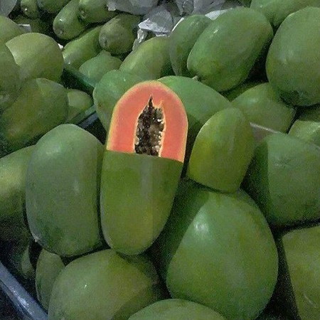 Hạt giống đu đủ ruột gấc