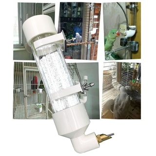 Bình Đựng Nước Uống Tự Động Cho Chim Vẹt