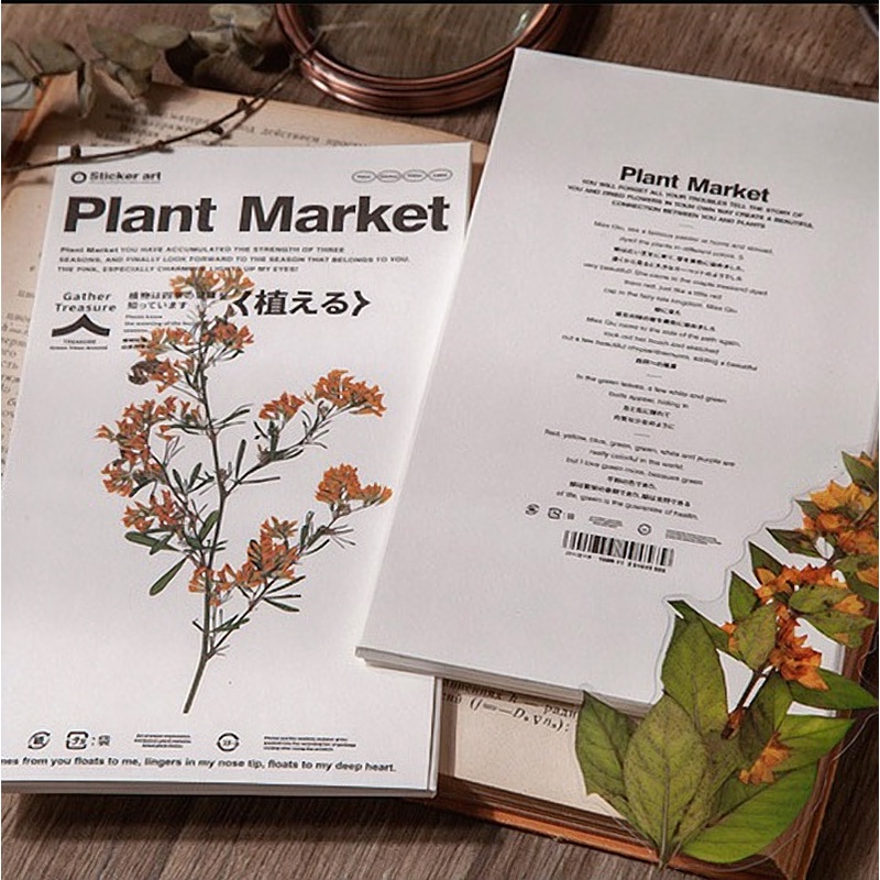 Sticker vintage set 17 miếng dán PET chống nước HD205-K61 DIY sổ tay bullet journal scrapbook album