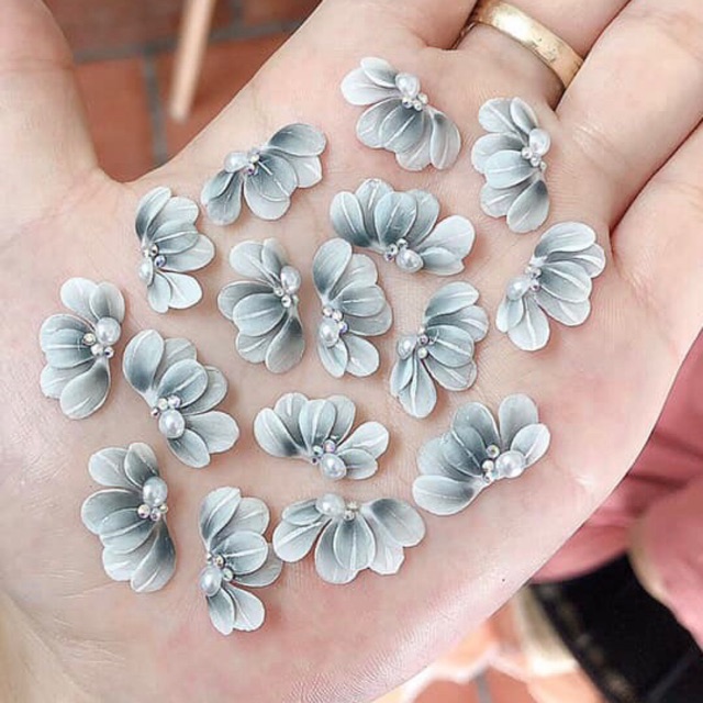 Cúc ruby (set 10b) | Shopee Việt Nam
