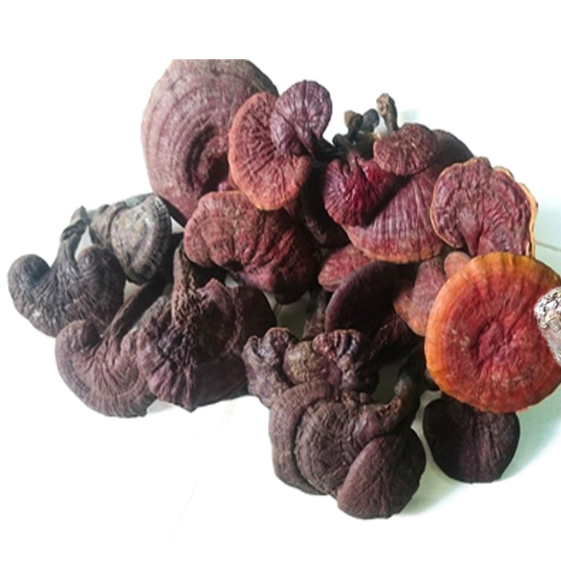 Nấm Lim Xanh thượng hạng JINDO 1kg