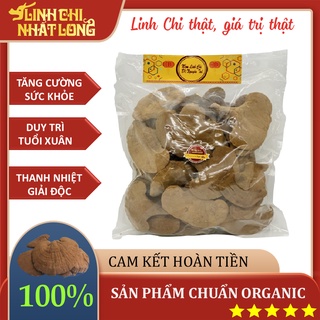 Nấm Linh Chi đỏ Nhất Long chính hãng, ổn định đường huyết và mỡ máu cao -Túi nguyên tai 1000gam