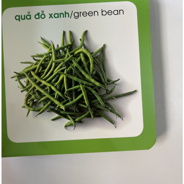 Ảnh Sách – Từ Điển Hình Ảnh Cho Bé (Bộ 10 quyển) – Quyển lẻ tùy chọn 4