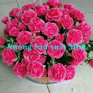 Chùm Hoa Cẩm Chướng Giả 10 Nhánh 40cm Nhiều Màu Hoa Lụa Trang Trí Nhà Cửa Bàn Thờ Xưởng Nam Định