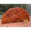 Tranh Quạt Phu Thê Gỗ Hương Kích Thước 50*100cm