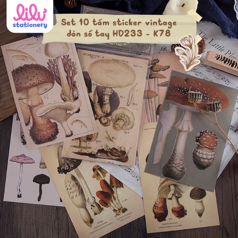 Sticker và giấy nền vintage set 10 tấm dán sổ tay DIY Crafts, Scrapbook, Journal, Diary, Planner HD233 - K78.