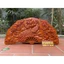 Tranh Quạt Phu Thê Gỗ Hương Kích Thước 50*100cm
